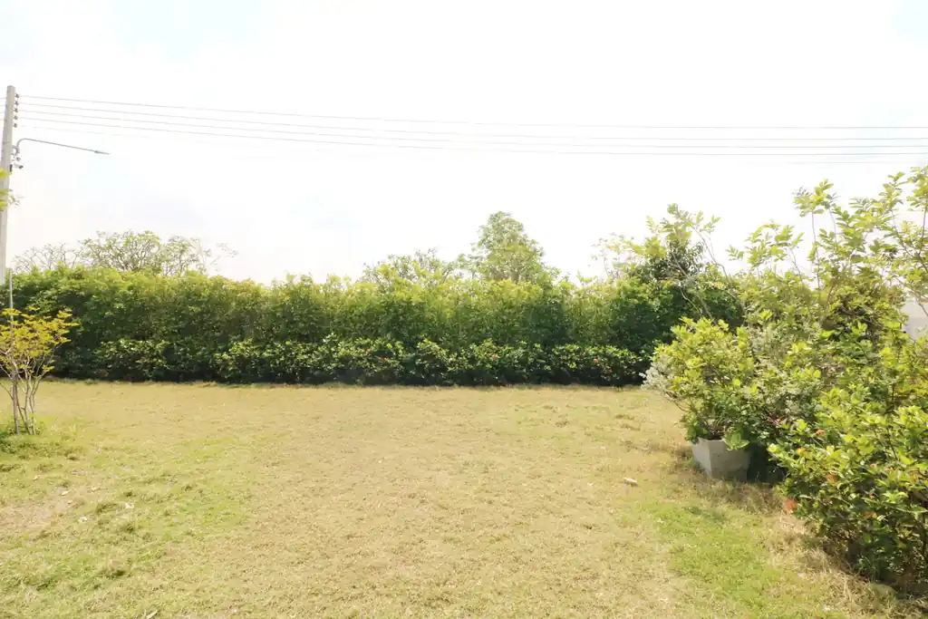 Modern 3 bedroom, 3 bathroom European-style home in Lively Home project, Buriram, photo 47