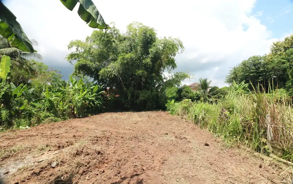 House for sale in Nong Wua So, Udon Thani: 2 bed, 2 bath on 960 sq m freehold land, photo 18