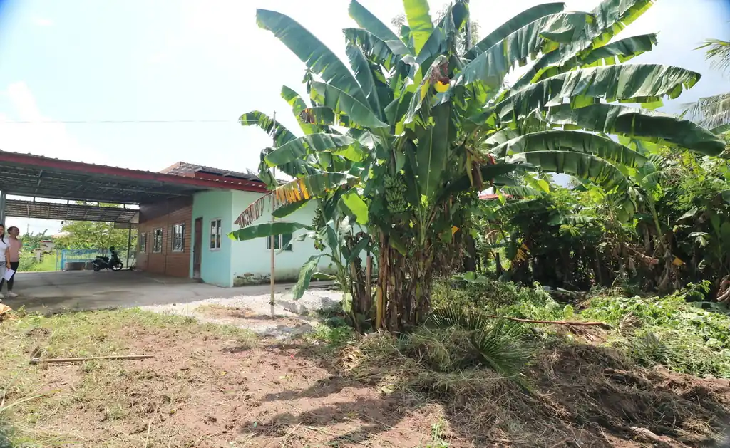 House for sale in Nong Wua So, Udon Thani: 2 bed, 2 bath on 960 sq m freehold land, photo 19