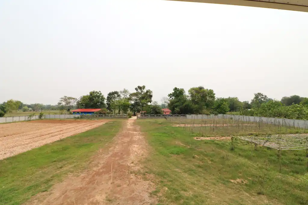 3 bedroom, 3 bathroom home on 16+ rai for sale in Nong Han, Udon Thani, photo 24