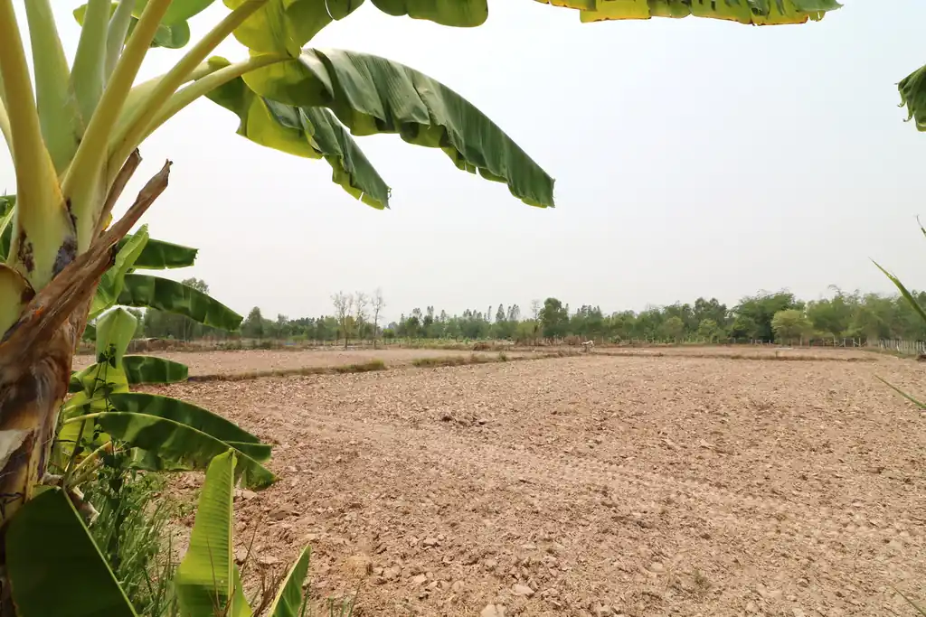 3 bedroom, 3 bathroom home on 16+ rai for sale in Nong Han, Udon Thani, photo 44