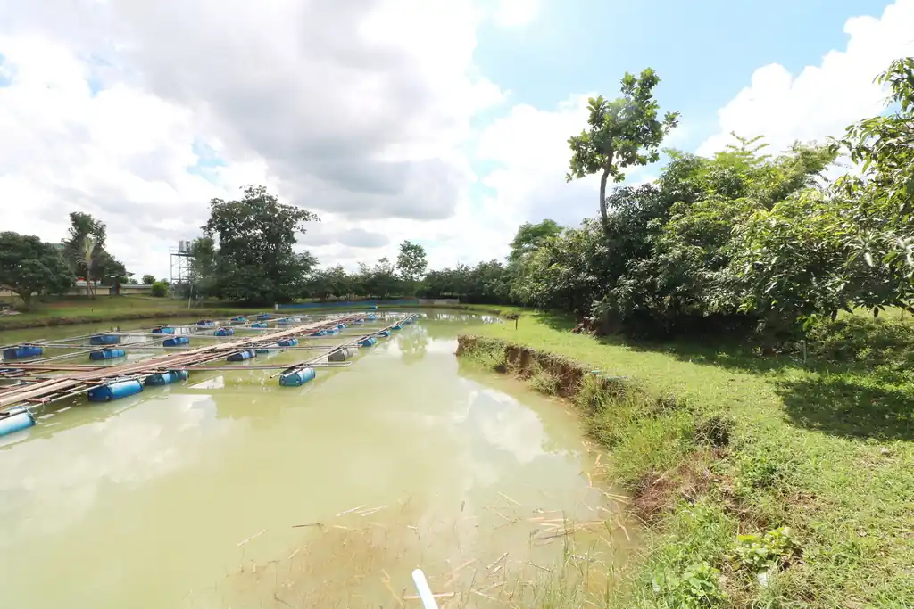 4 bedroom, 5 bathroom home and land for sale – about 6 rai – Wanon Niwat, Sakon Nakhon, photo 52
