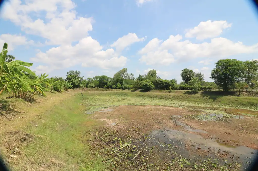 Affordable 2 bedroom, 1 bath home on 5.25 rai freehold land in Nong Han, Udon Thani, photo 31