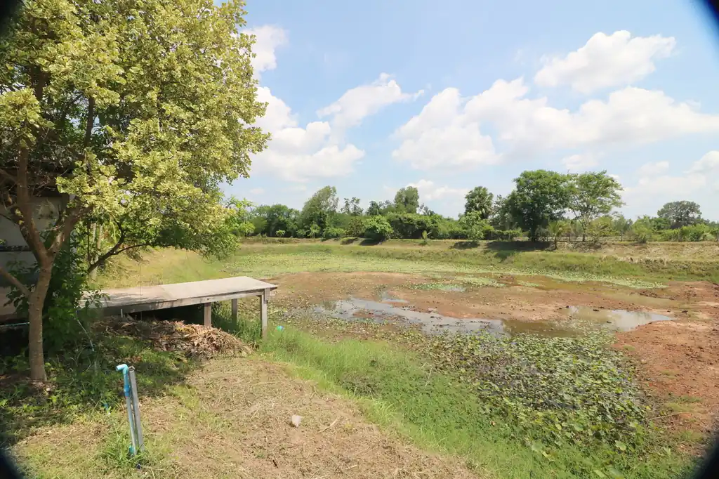 Affordable 2 bedroom, 1 bath home on 5.25 rai freehold land in Nong Han, Udon Thani, photo 32