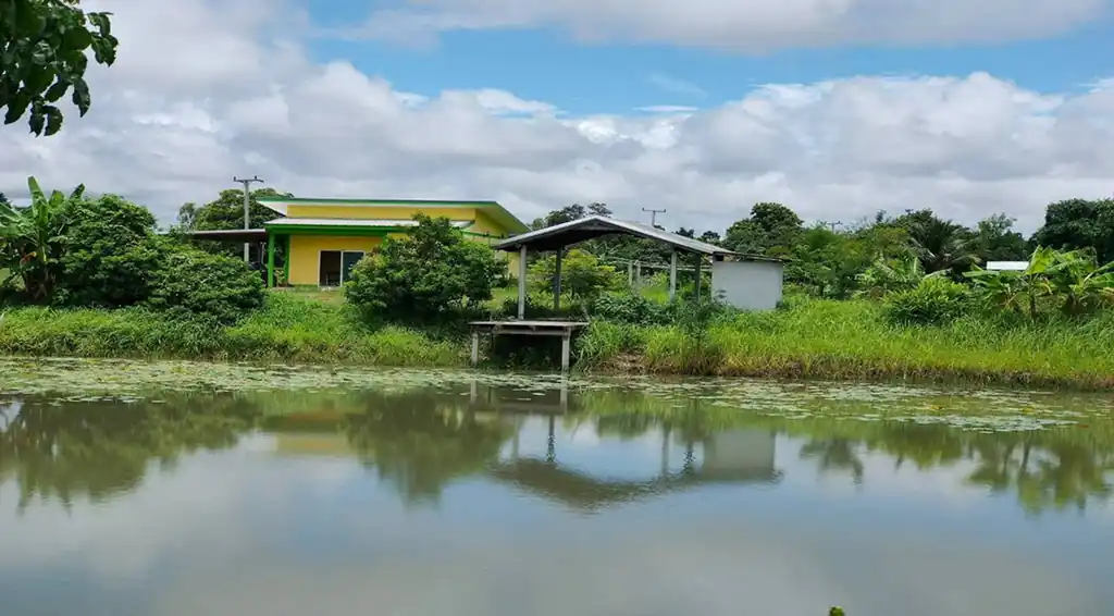 Affordable 2 bedroom, 1 bath home on 5.25 rai freehold land in Nong Han, Udon Thani, photo 34