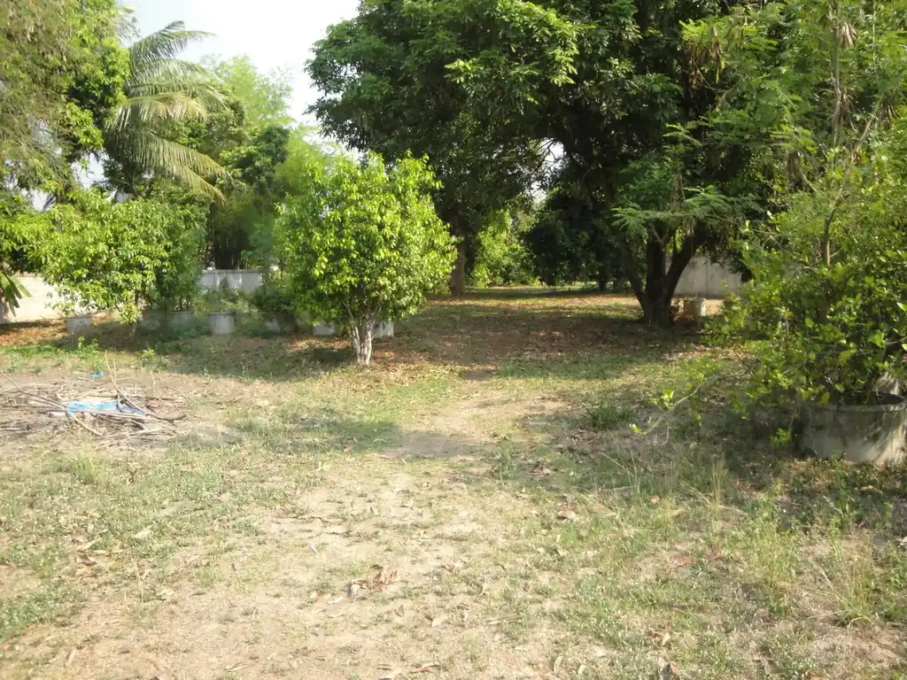 1.5 rai ready-to-build land for sale in Hang Hong, Sakon Nakhon, photo 10