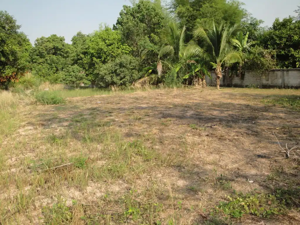 1.5 rai ready-to-build land for sale in Hang Hong, Sakon Nakhon, photo 12