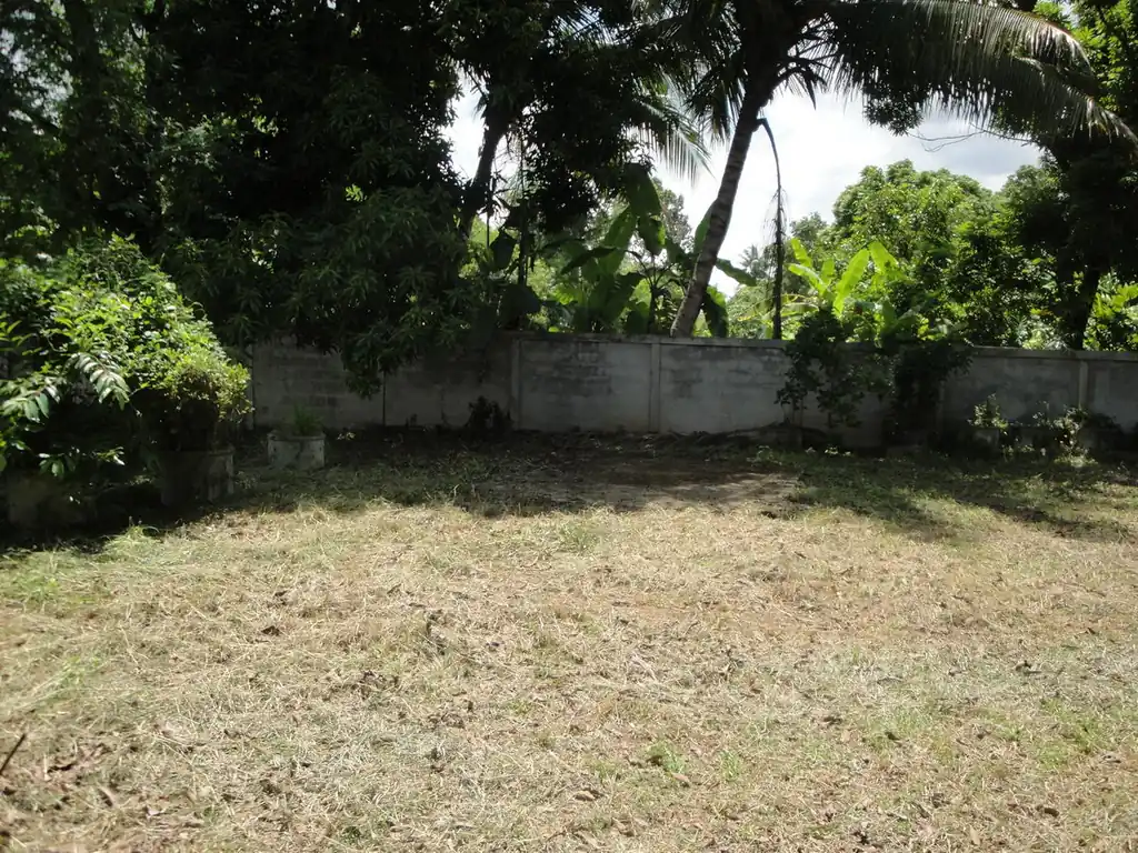 1.5 rai ready-to-build land for sale in Hang Hong, Sakon Nakhon, photo 8