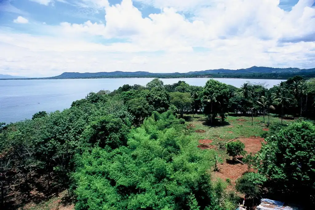 37 rai of peninsular land for sale in Trat, Thailand, photo 8