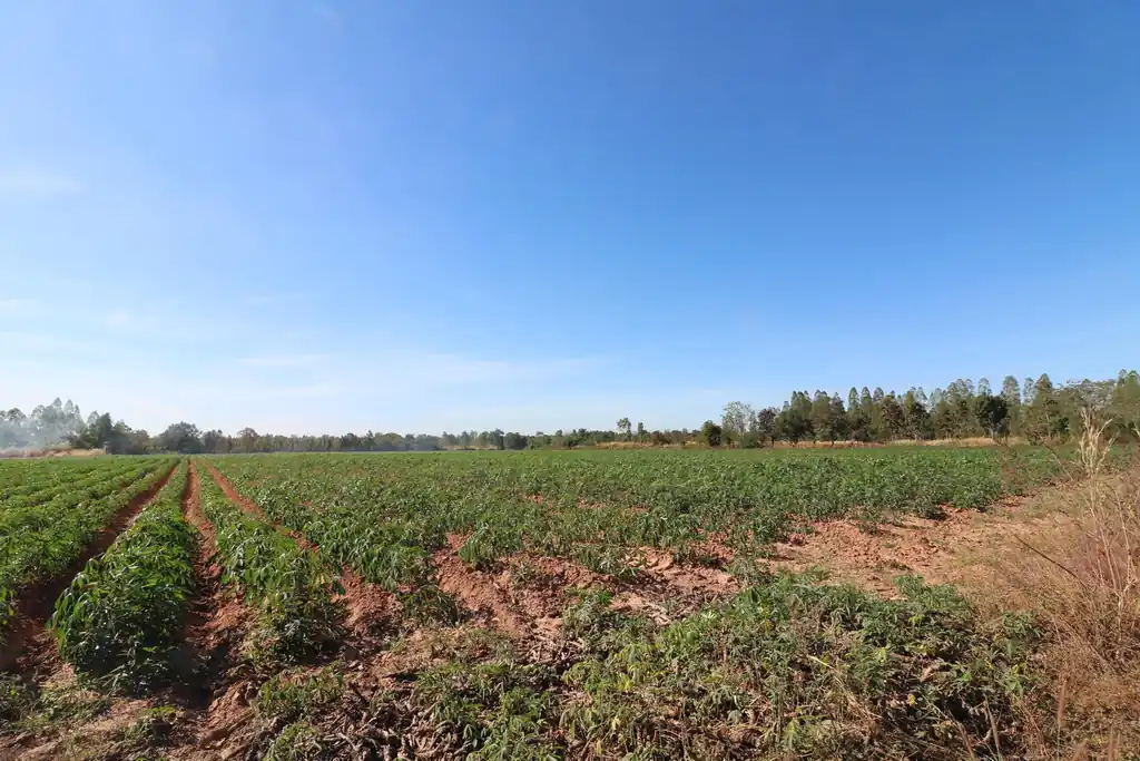30 rai of prime land for sale, Nong Han, Udon Thani, photo 12