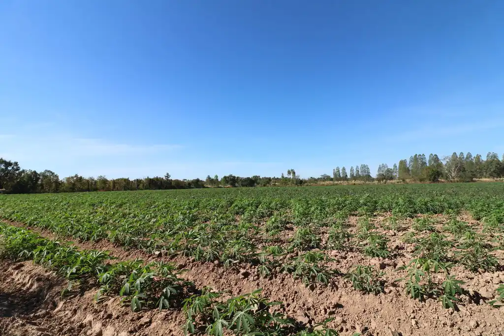30 rai of prime land for sale, Nong Han, Udon Thani, photo 14