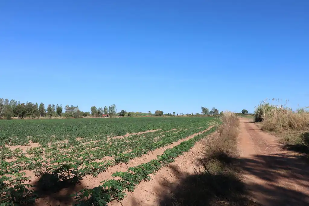 30 rai of prime land for sale, Nong Han, Udon Thani, photo 16