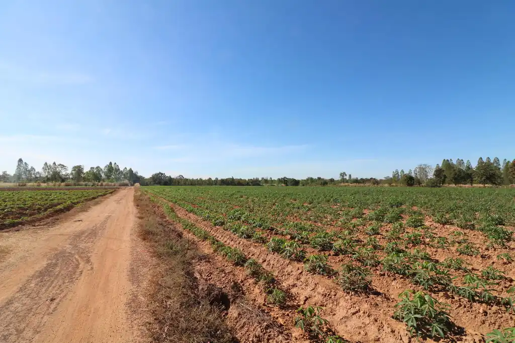 30 rai of prime land for sale, Nong Han, Udon Thani, photo 8
