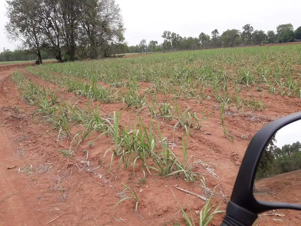 36 rai of fertile farmland for sale near Nong Bua Lam Phu, photo 14