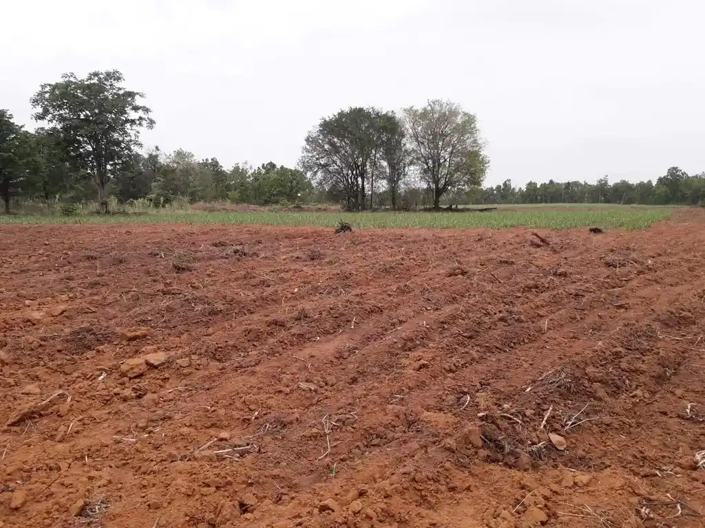 36 rai of fertile farmland for sale near Nong Bua Lam Phu, photo 16