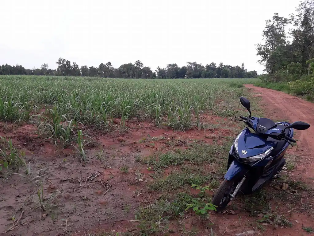 36 rai of fertile farmland for sale near Nong Bua Lam Phu, photo 17