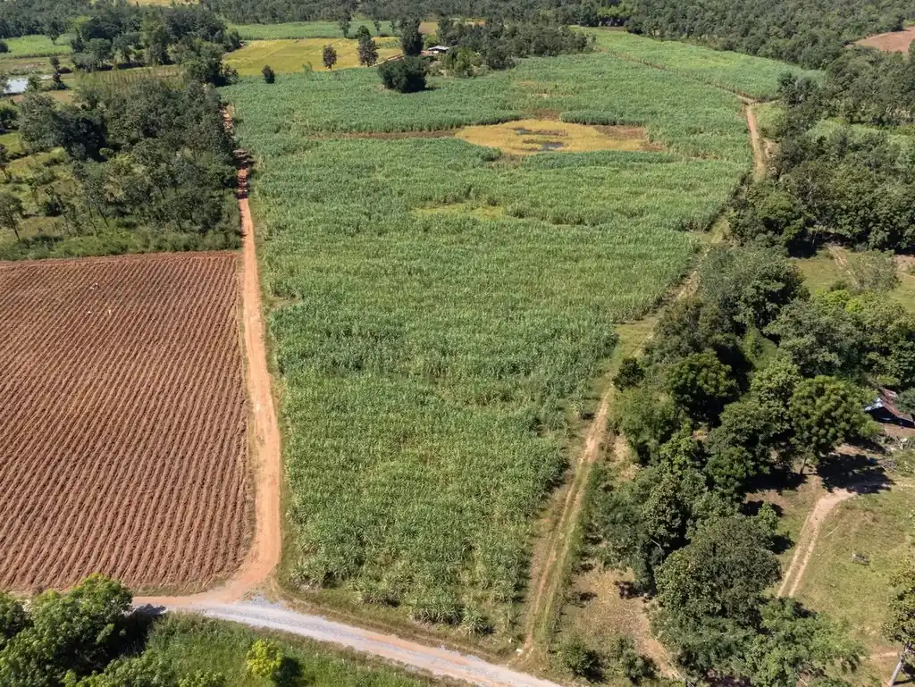 36 rai of fertile farmland for sale near Nong Bua Lam Phu, photo 2