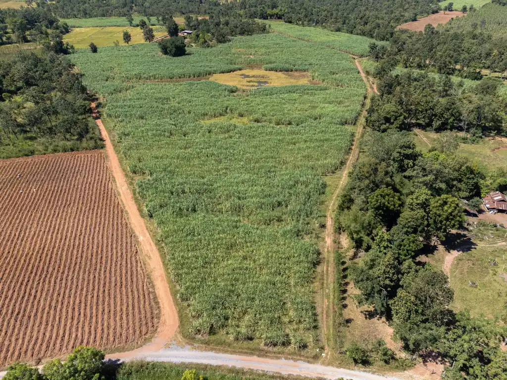 36 rai of fertile farmland for sale near Nong Bua Lam Phu, photo 3