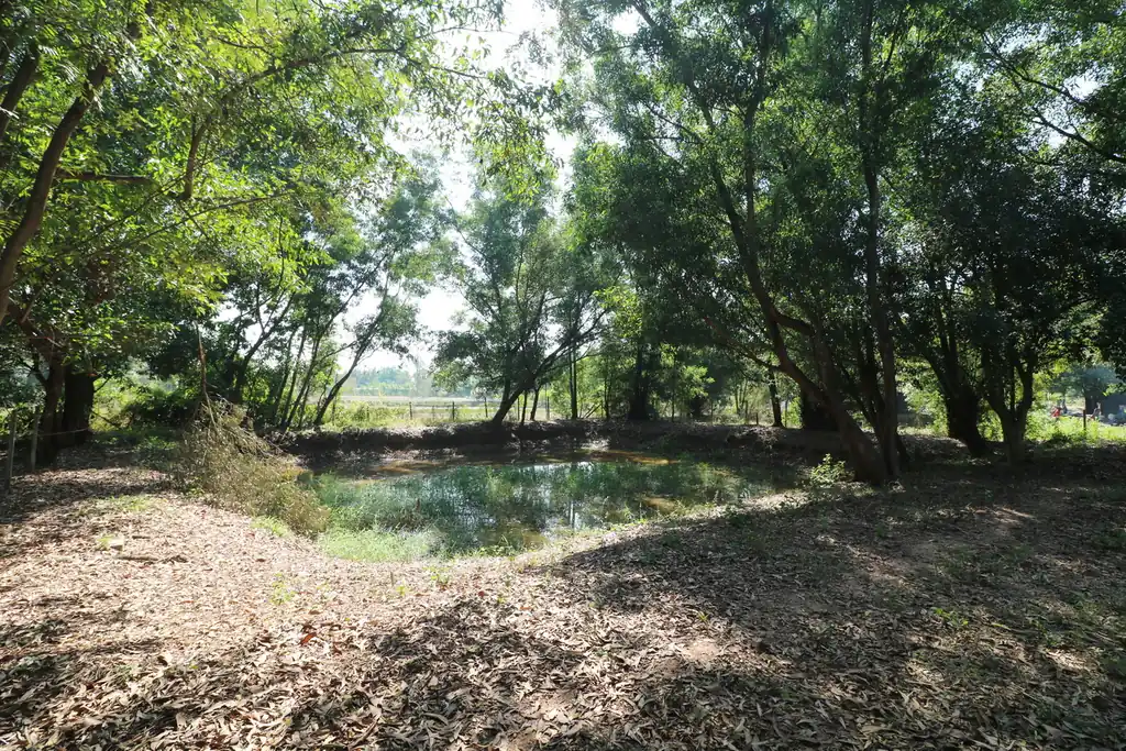2+ rai leveled land plot for sale in Ban Lueam, Udon Thani, photo 12