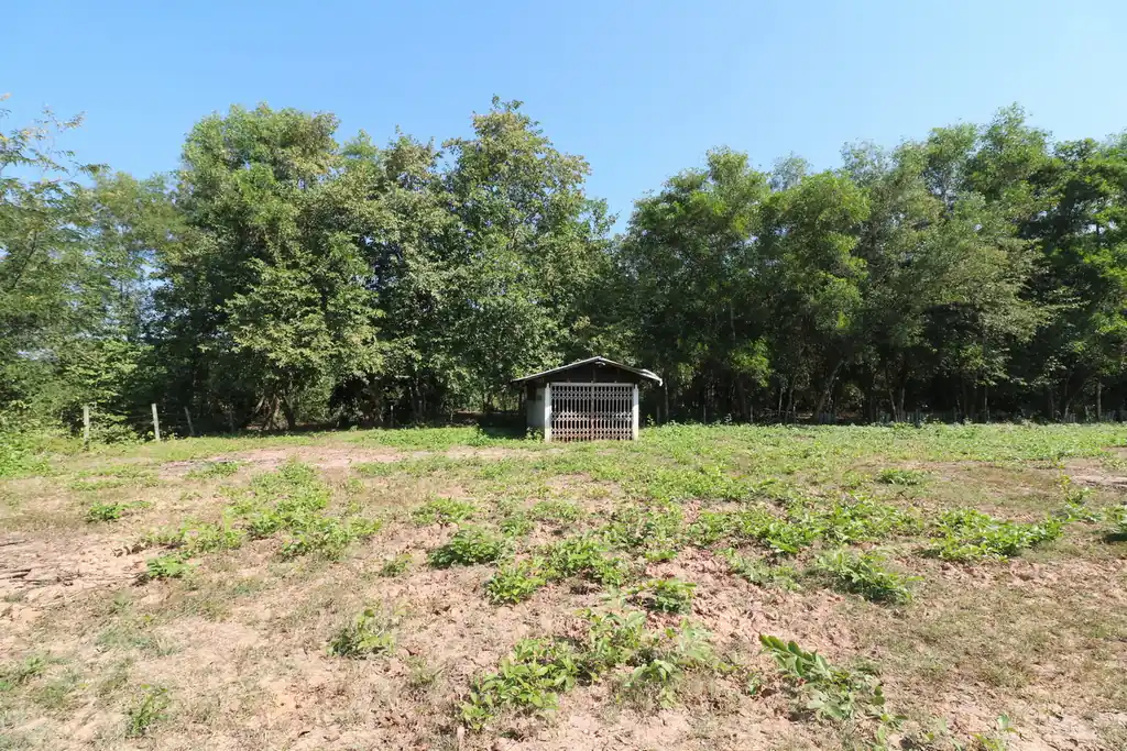 2+ rai leveled land plot for sale in Ban Lueam, Udon Thani, photo 2