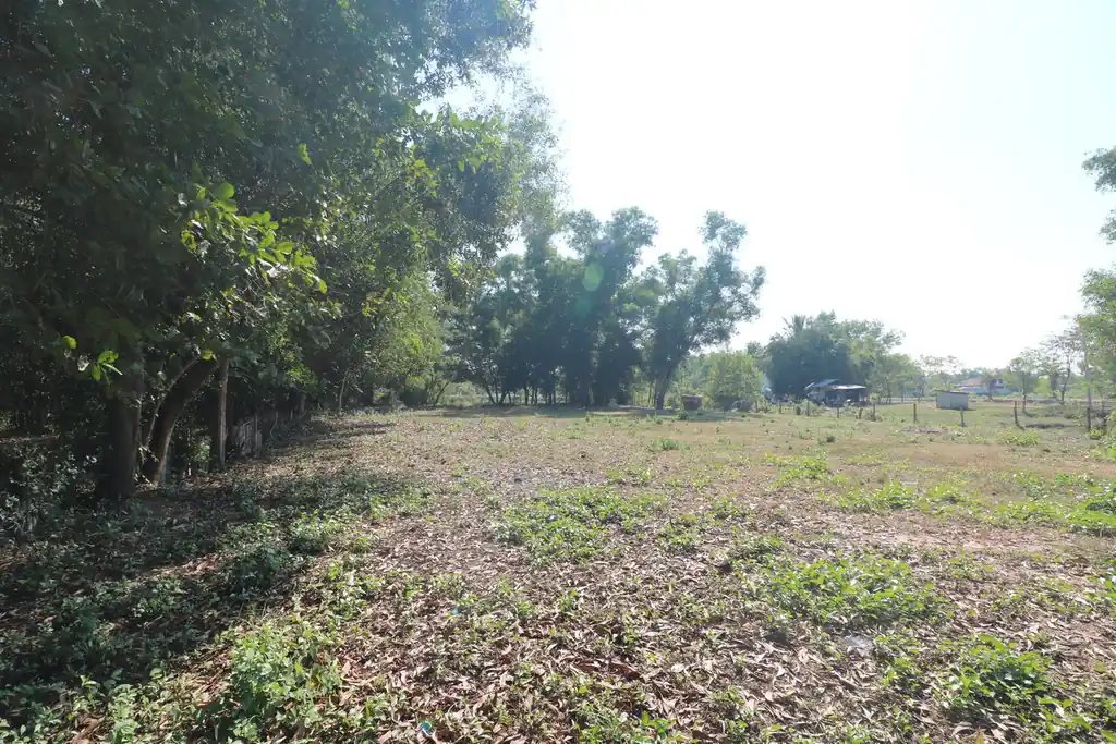 2+ rai leveled land plot for sale in Ban Lueam, Udon Thani, photo 20