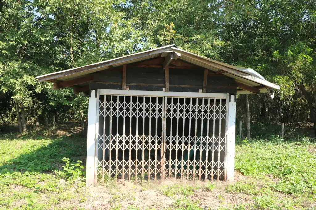 2+ rai leveled land plot for sale in Ban Lueam, Udon Thani, photo 21