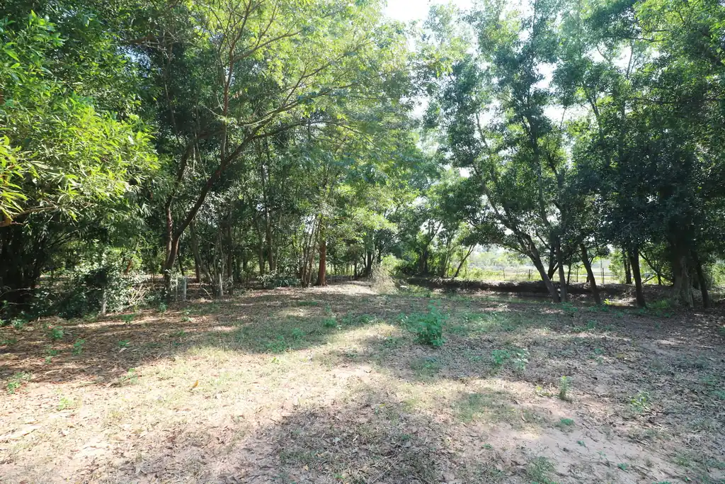 2+ rai leveled land plot for sale in Ban Lueam, Udon Thani, photo 3