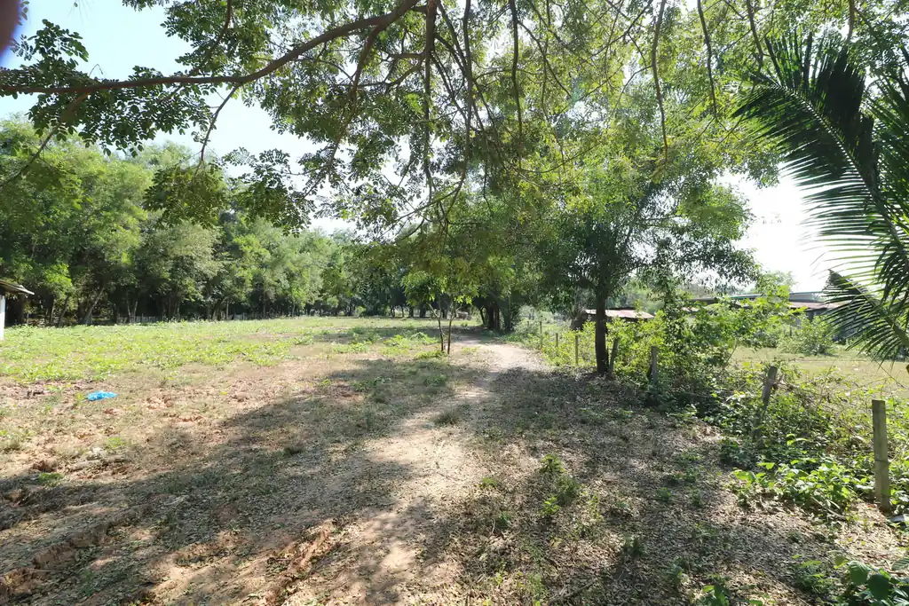 2+ rai leveled land plot for sale in Ban Lueam, Udon Thani, photo 7