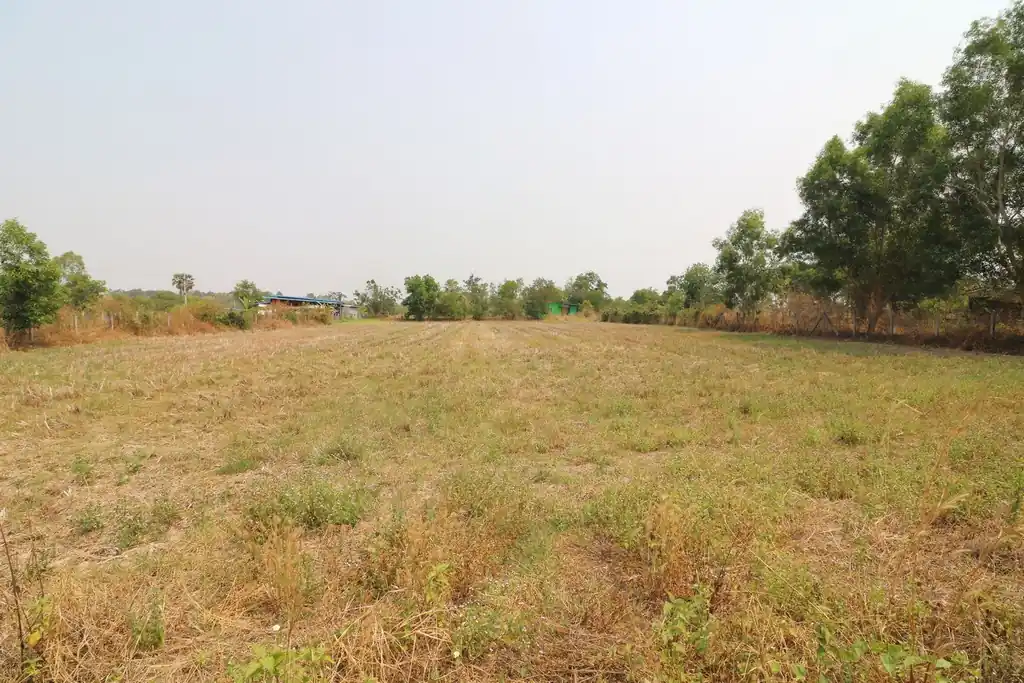 Rectangular 3 rai land block for sale in Sam Phrao, Udon Thani, photo 3
