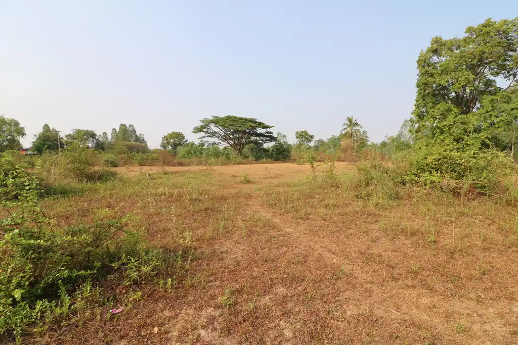 100 talang wah leveled land plot for sale in Nong Na Kham, Udon Thani, photo 4