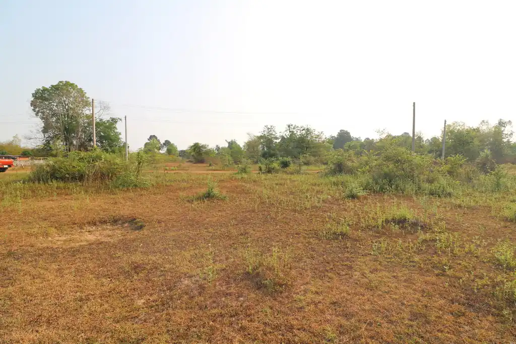 100 talang wah leveled land plot for sale in Nong Na Kham, Udon Thani, photo 5