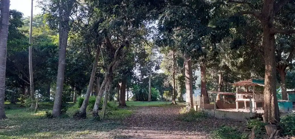 10+ rai Mekong-front land for sale in Chiang Khan, Loei, photo 3