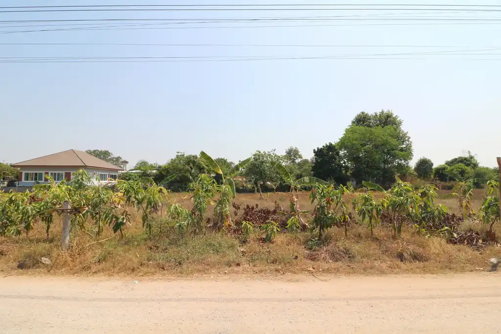 7 building plots for sale in Tha Phra, near Khon Kaen, photo 7
