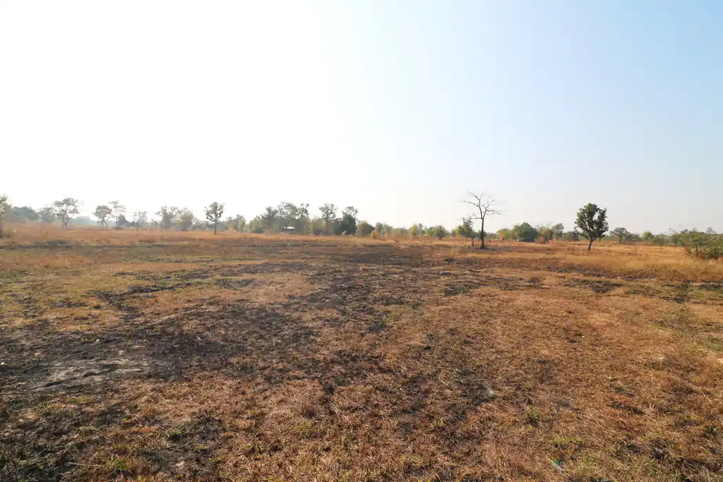 26+ rai of development land for sale in Nong Na Kham, Udon Thani, photo 10