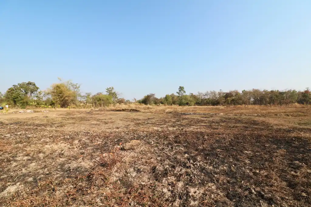 26+ rai of development land for sale in Nong Na Kham, Udon Thani, photo 13