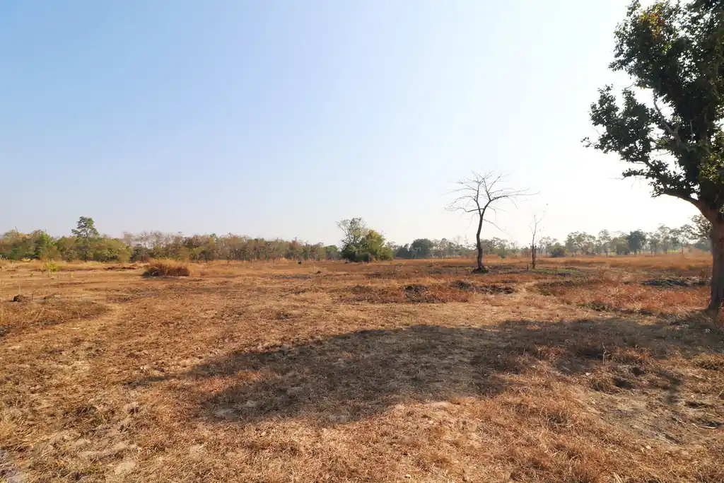 26+ rai of development land for sale in Nong Na Kham, Udon Thani, photo 14