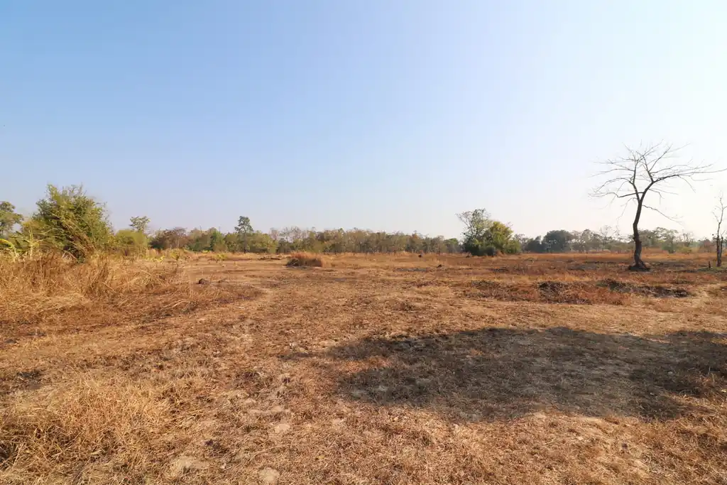 26+ rai of development land for sale in Nong Na Kham, Udon Thani, photo 15