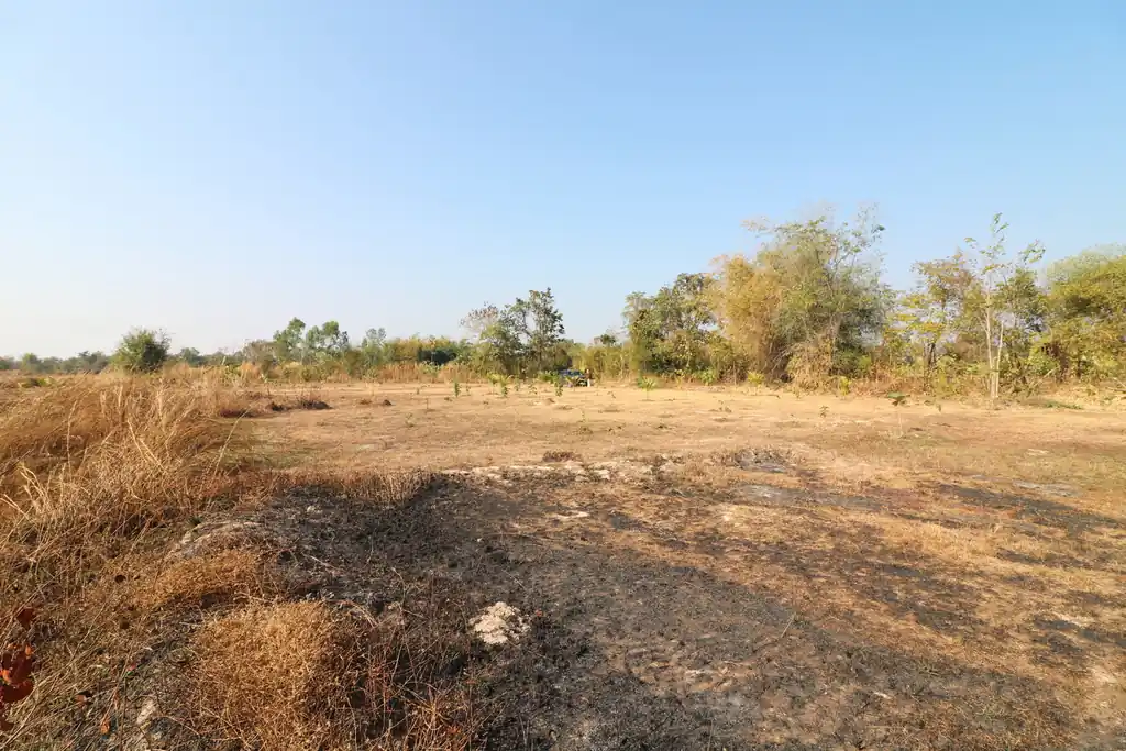 26+ rai of development land for sale in Nong Na Kham, Udon Thani, photo 8