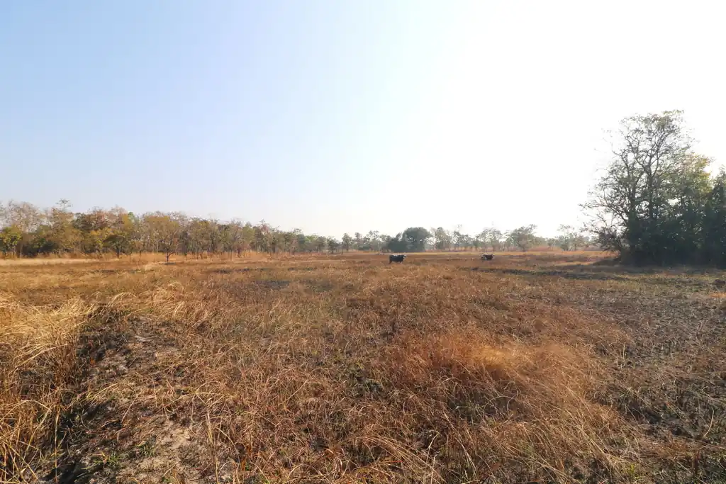 26+ rai of development land for sale in Nong Na Kham, Udon Thani, photo 9