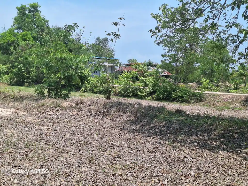 21+ rai of land for sale within 3 km of Phen, Udon Thani, photo 10