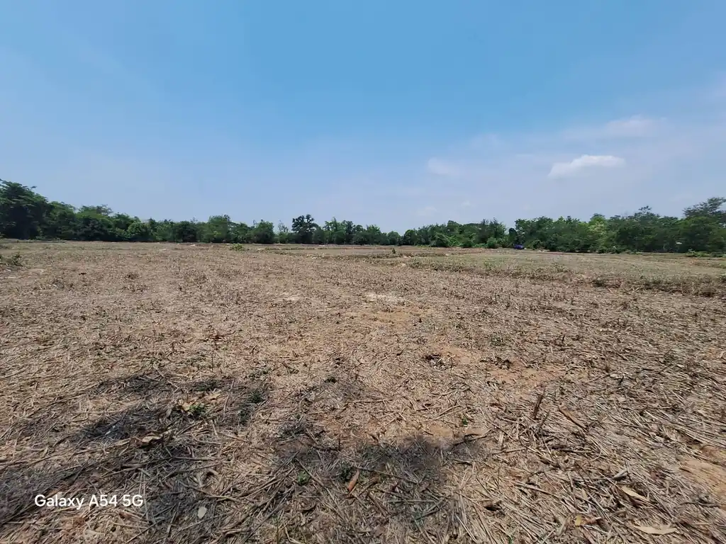 21+ rai of land for sale within 3 km of Phen, Udon Thani, photo 11