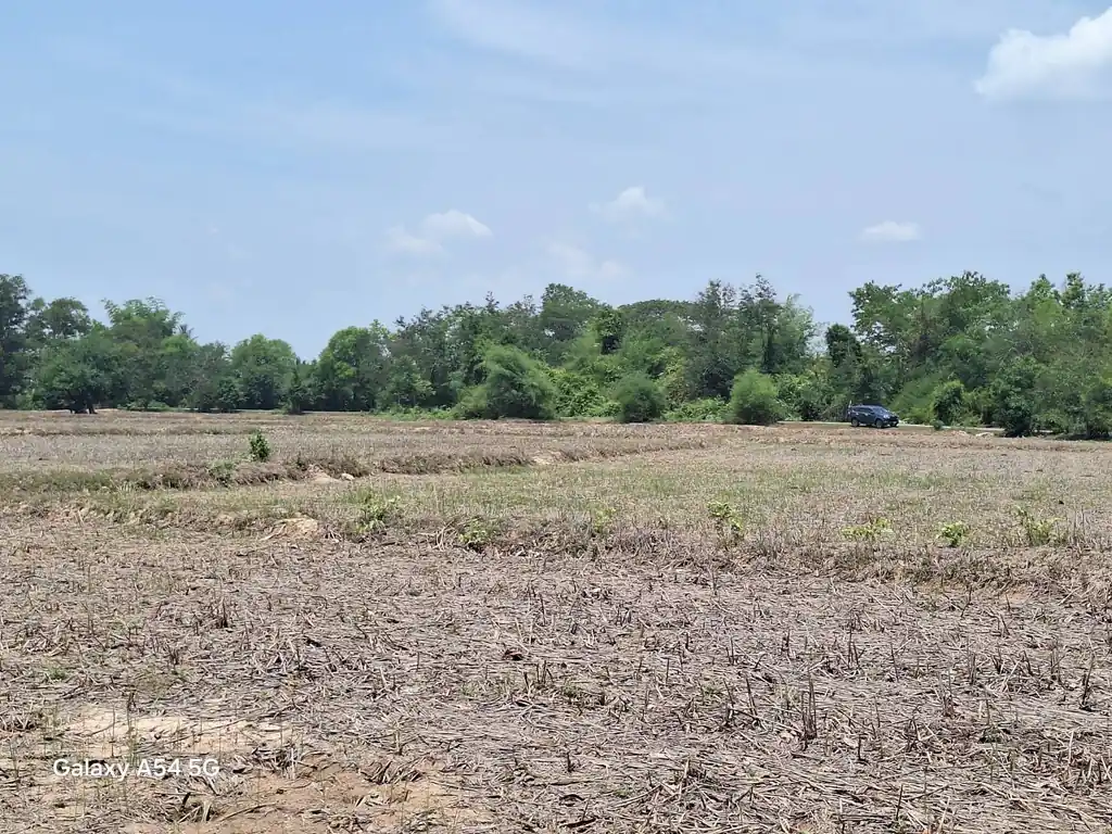 21+ rai of land for sale within 3 km of Phen, Udon Thani, photo 12
