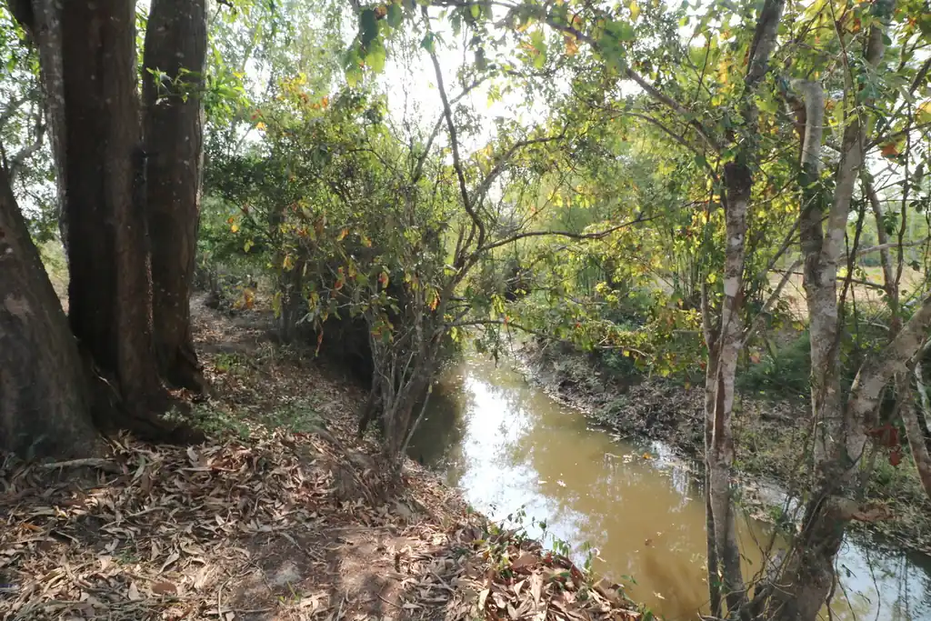 21+ rai of land for sale within 3 km of Phen, Udon Thani, photo 14