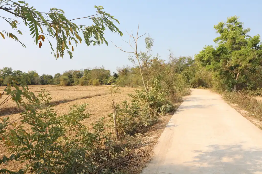 21+ rai of land for sale within 3 km of Phen, Udon Thani, photo 15
