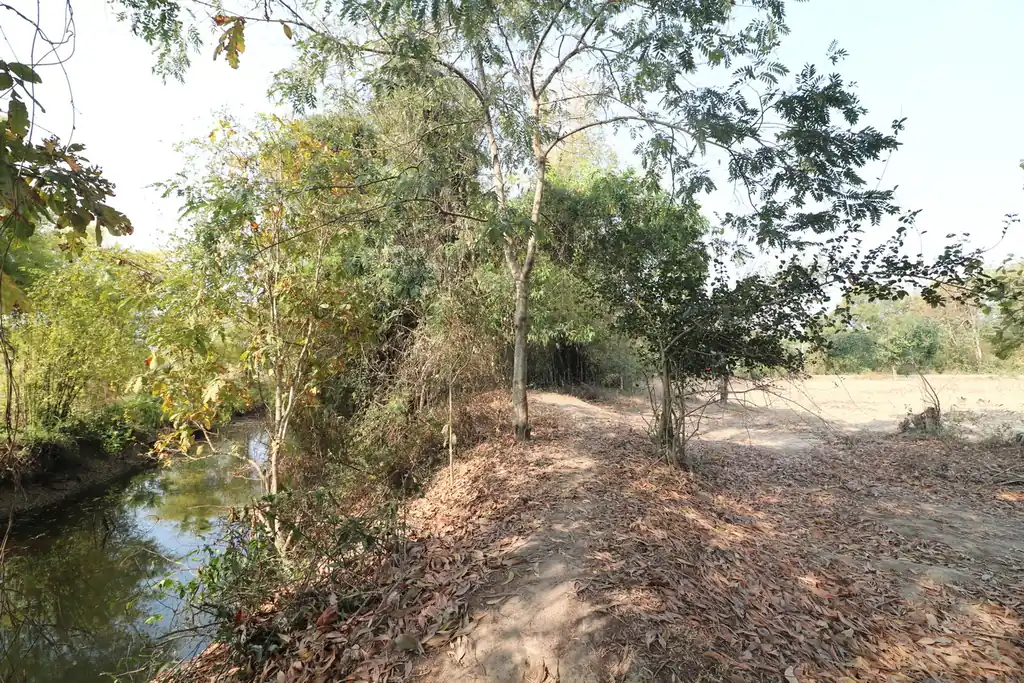 21+ rai of land for sale within 3 km of Phen, Udon Thani, photo 16