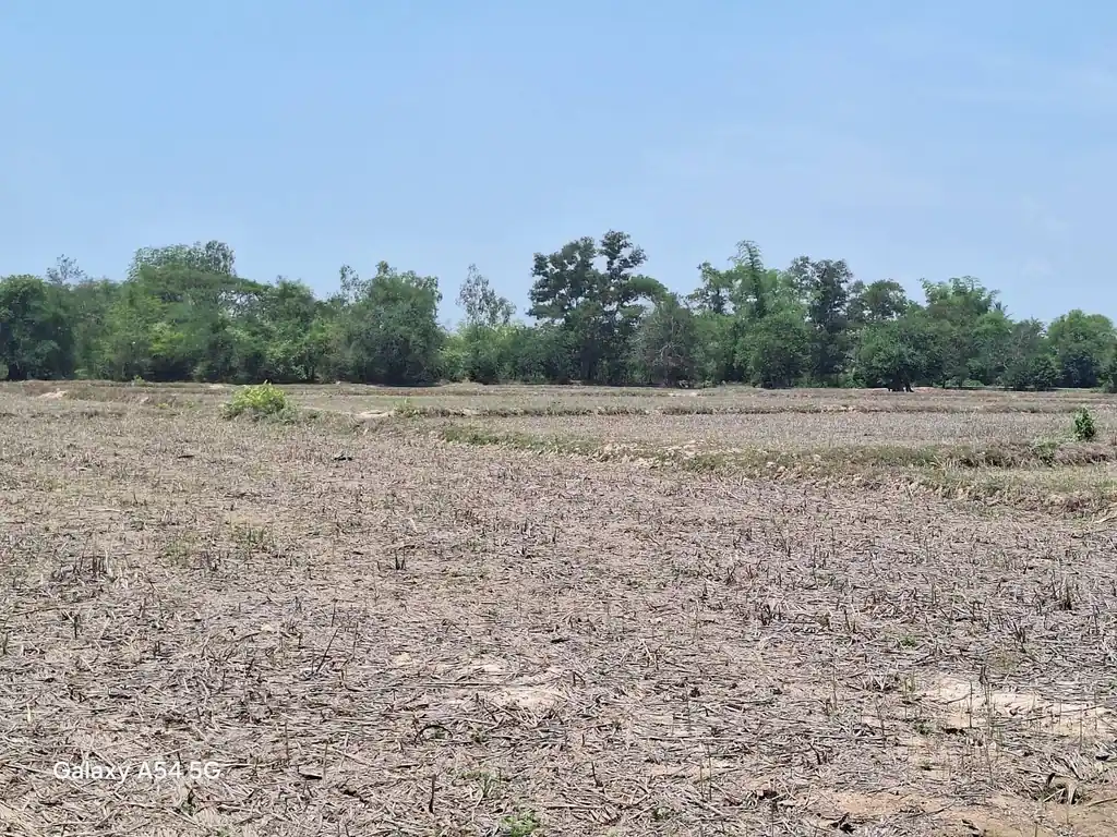 21+ rai of land for sale within 3 km of Phen, Udon Thani, photo 4