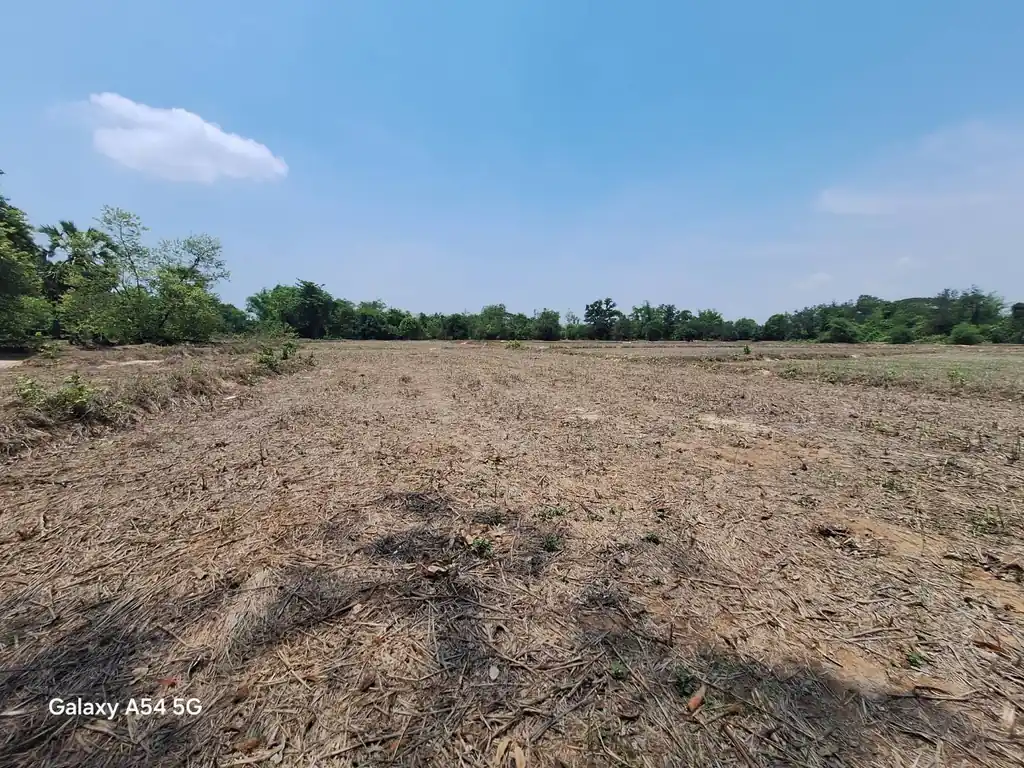 21+ rai of land for sale within 3 km of Phen, Udon Thani, photo 7