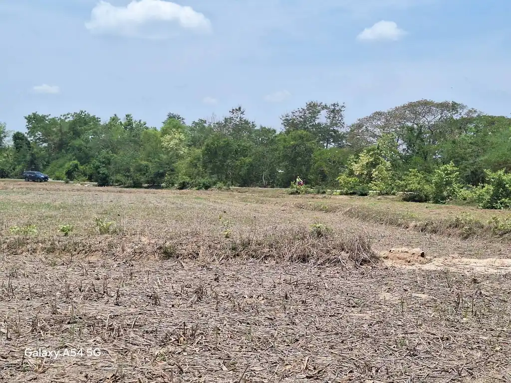 21+ rai of land for sale within 3 km of Phen, Udon Thani, photo 8