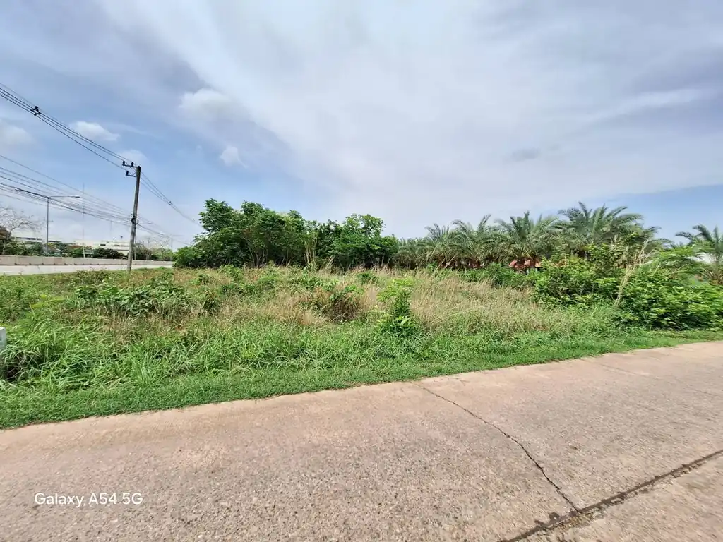 Corner land plot with highway frontage for sale in Nong Bua Lam Phu, photo 4