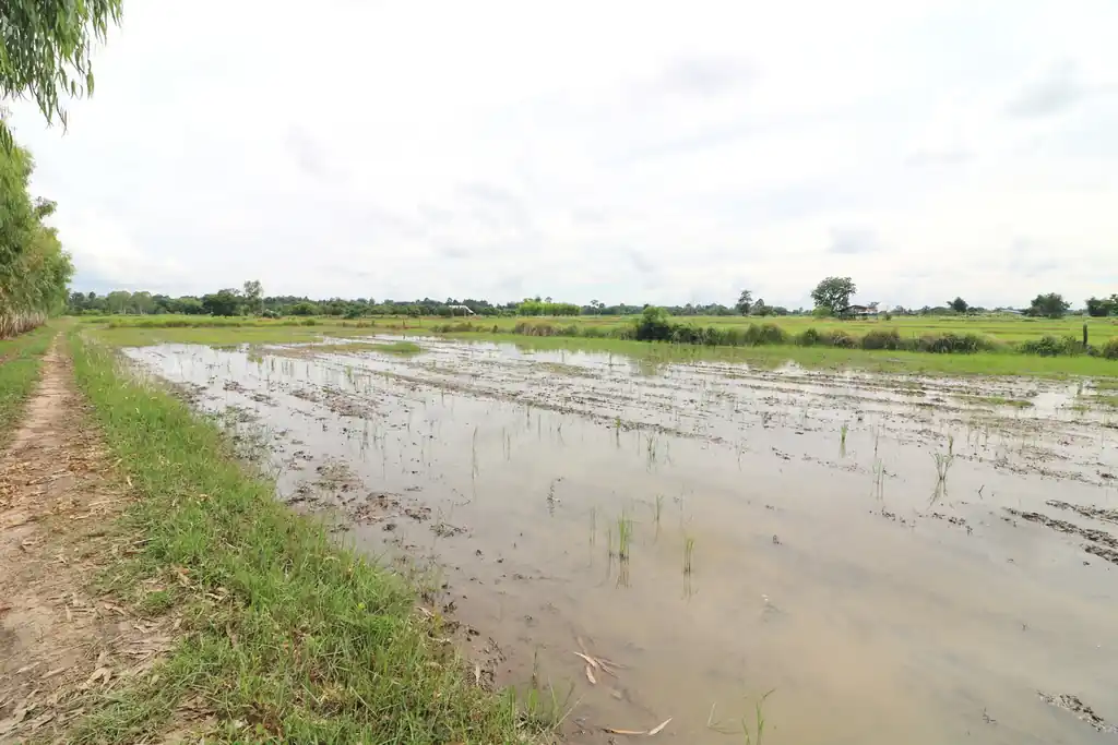 5+ rai of land for sale in Ban Tat, Udon Thani, photo 10